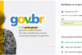 Como Recuperar a Senha GOV BR